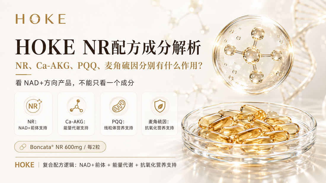 HOKE NR配方成分解析：NR、Ca-AKG、PQQ、麦角硫因分别有什么作用？