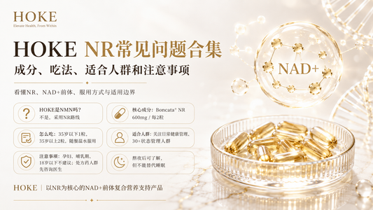 HOKE NR常见问题合集：成分、吃法、适合人群和注意事项