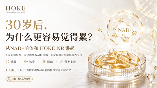 30岁后为什么更容易觉得累？从NAD+前体和HOKE NR讲起